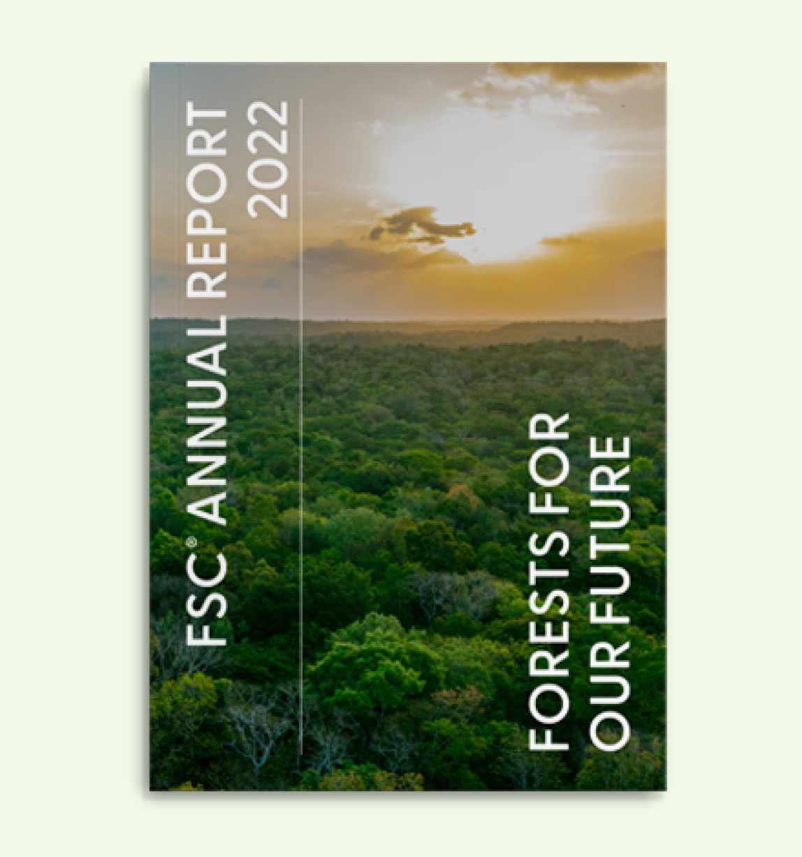 FSC Annual Reports | fsc.org